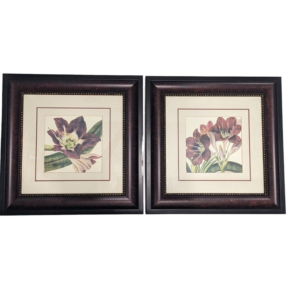 Pair of Framed Botanical Prints Amaryllis Lily Purple 19"x19" VTG Dark Academia
